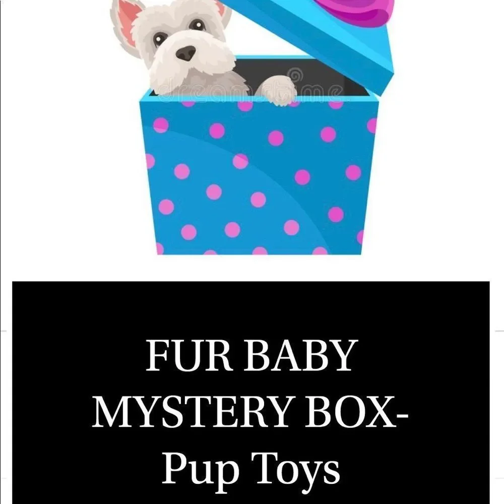 Pet Toys Mystery Box - Guaranteed 3 NWT Items